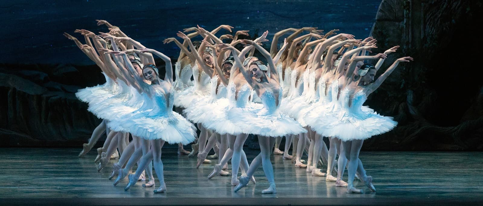 Special Guest Artist Evening