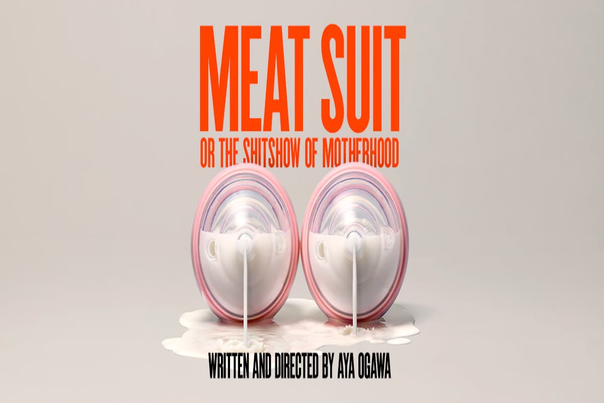 Meat Suit, or the shitshow of motherhood