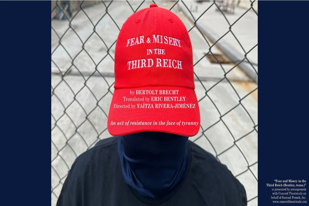 Fear and Misery in the Third Reich