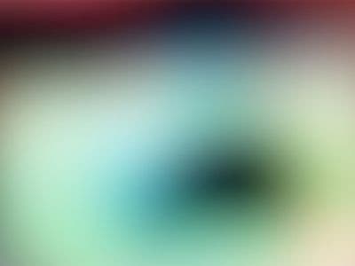 Sightlines / Bodies Edition