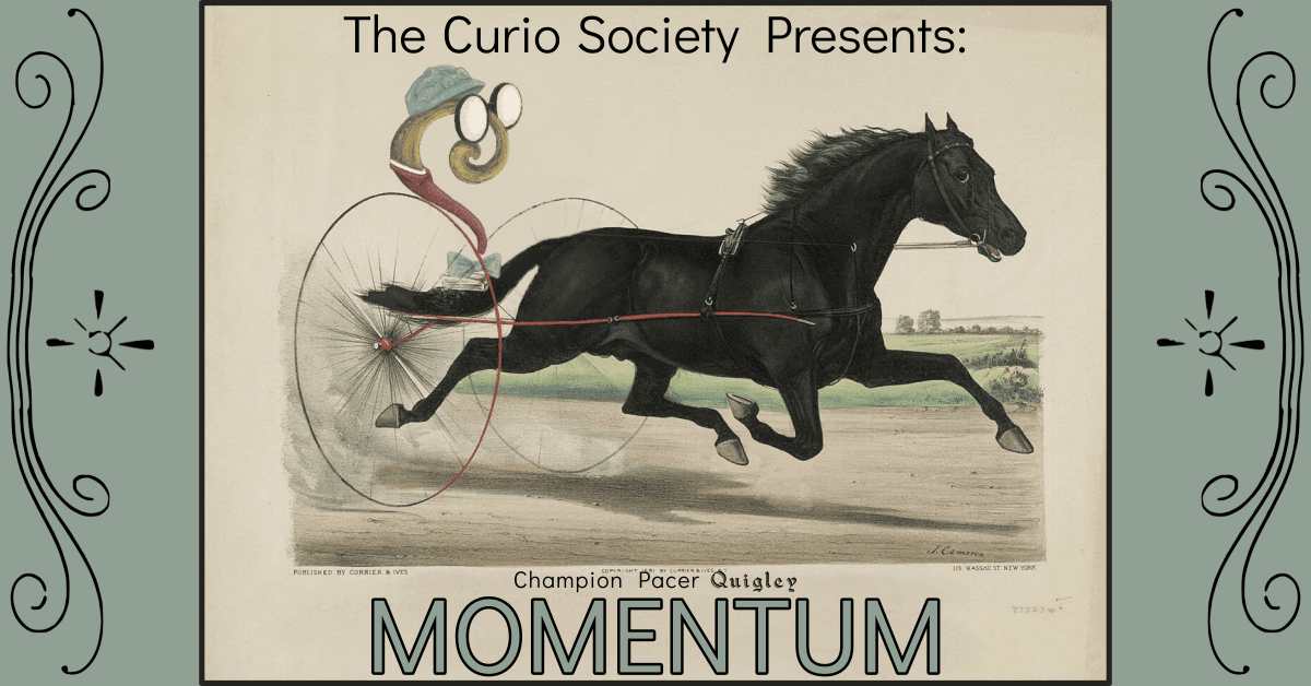 The Curio Society