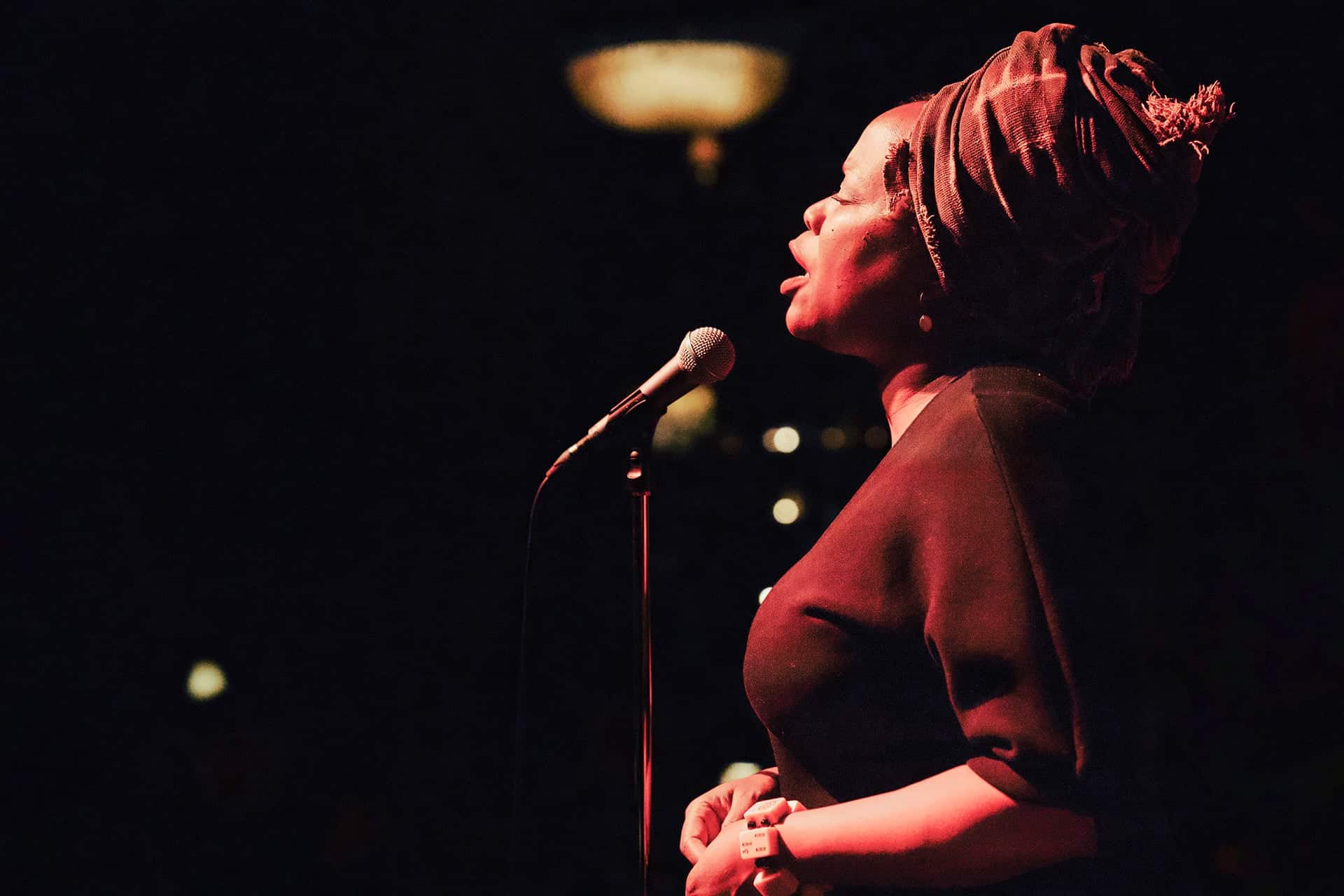 All Cats are Beautiful with Queen Esther