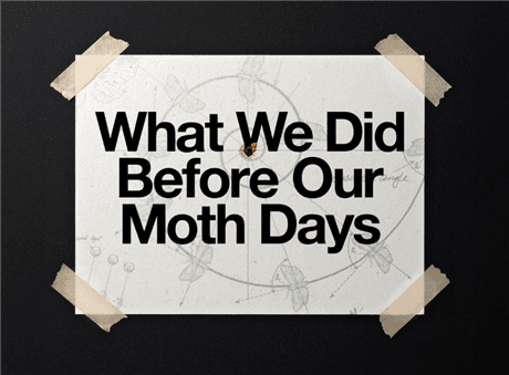 What We Did Before Our Moth Days