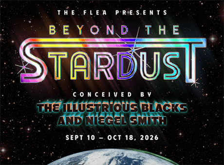 Beyond the Stardust