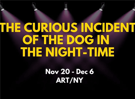 The Curious Incident of the Dog in the Night-Time