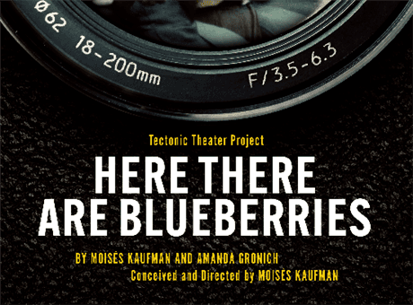 Here There Are Blueberries