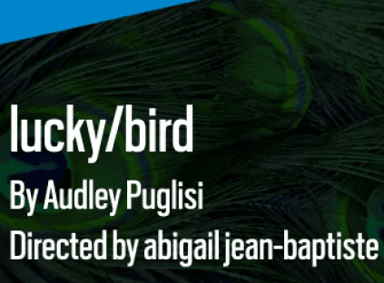 lucky/bird